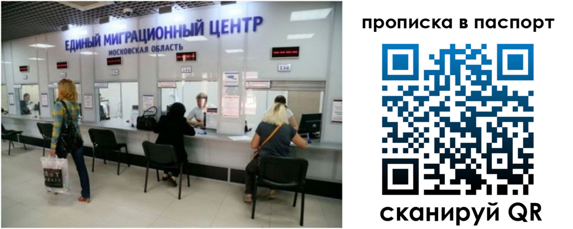 прописка в Щучье